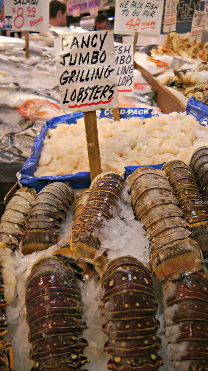 Jumbo Lobster. Pike Place Market, Seattle, WA