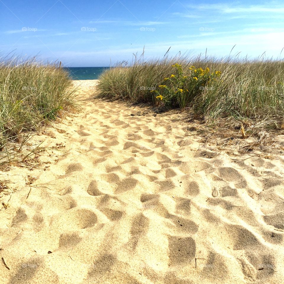 Path to beach, Nantucket 