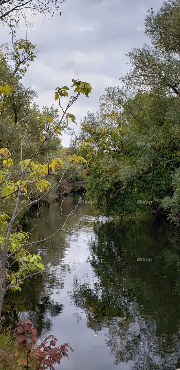Bridge over the Pine River
