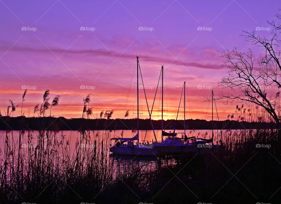 The sailboats are docked in the bay during a marvelous sunset. The evening sunset was lighted up with a mauve and orange radiance, glorious to behold, and increasing every moment in splendor.