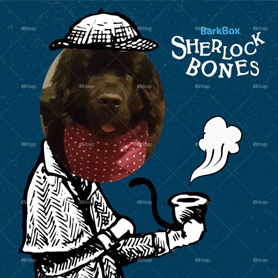 People, Illustration, Portrait, Adult, Vertical