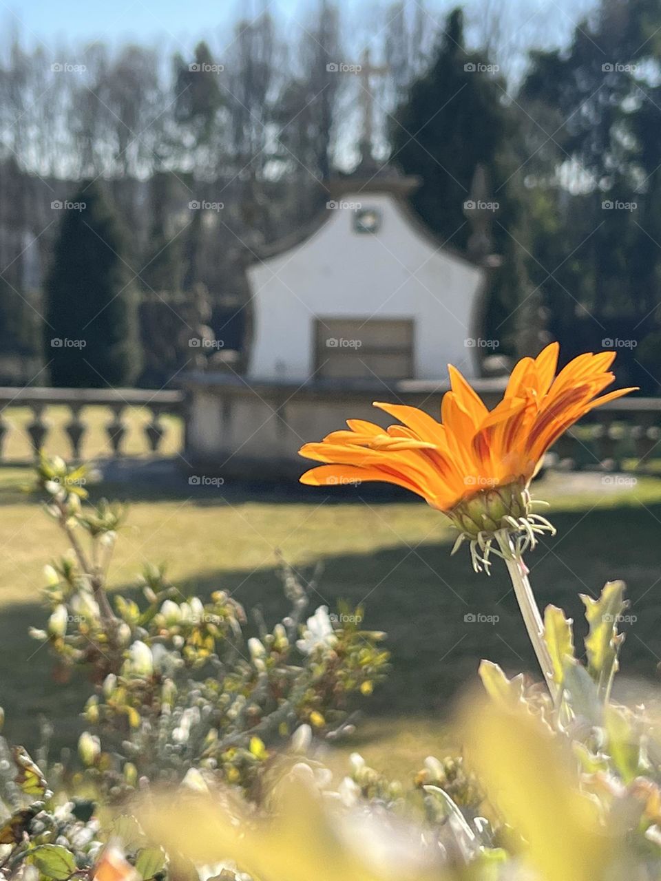 Little water fountain 