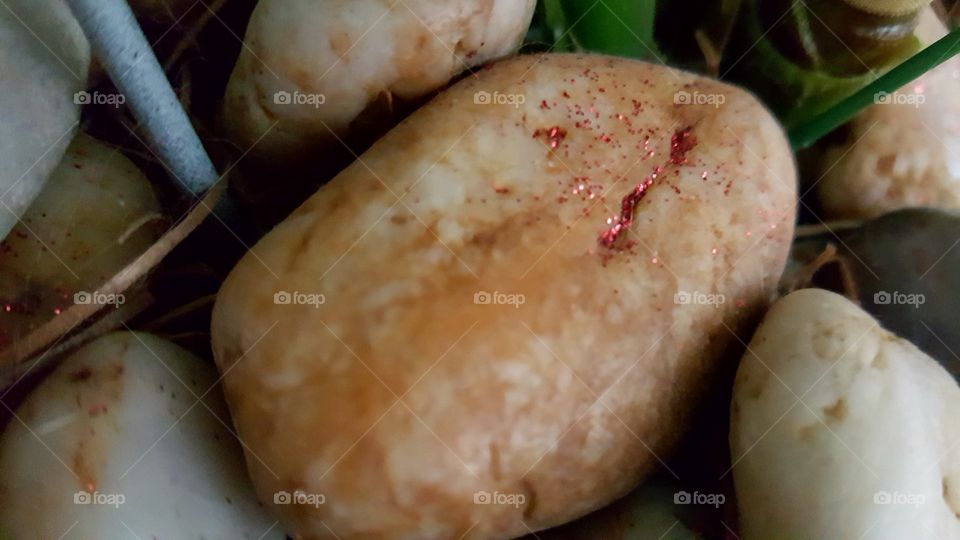 Beautiful macro shots