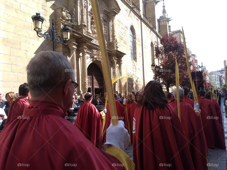 Procesión del domingo de Ramos, Logroño