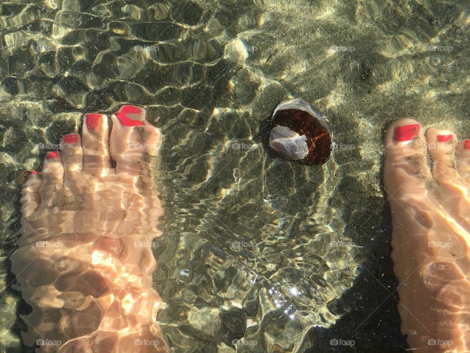 Don't  step on a seashell 