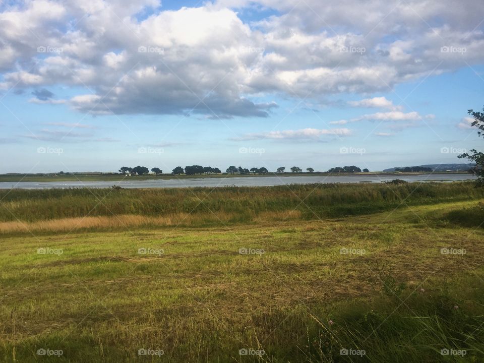 Landscape, No Person, Sky, Grass, Grassland