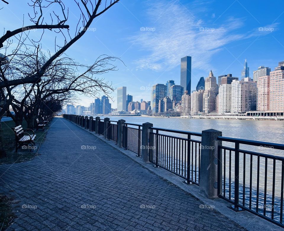 Roosevelt Island