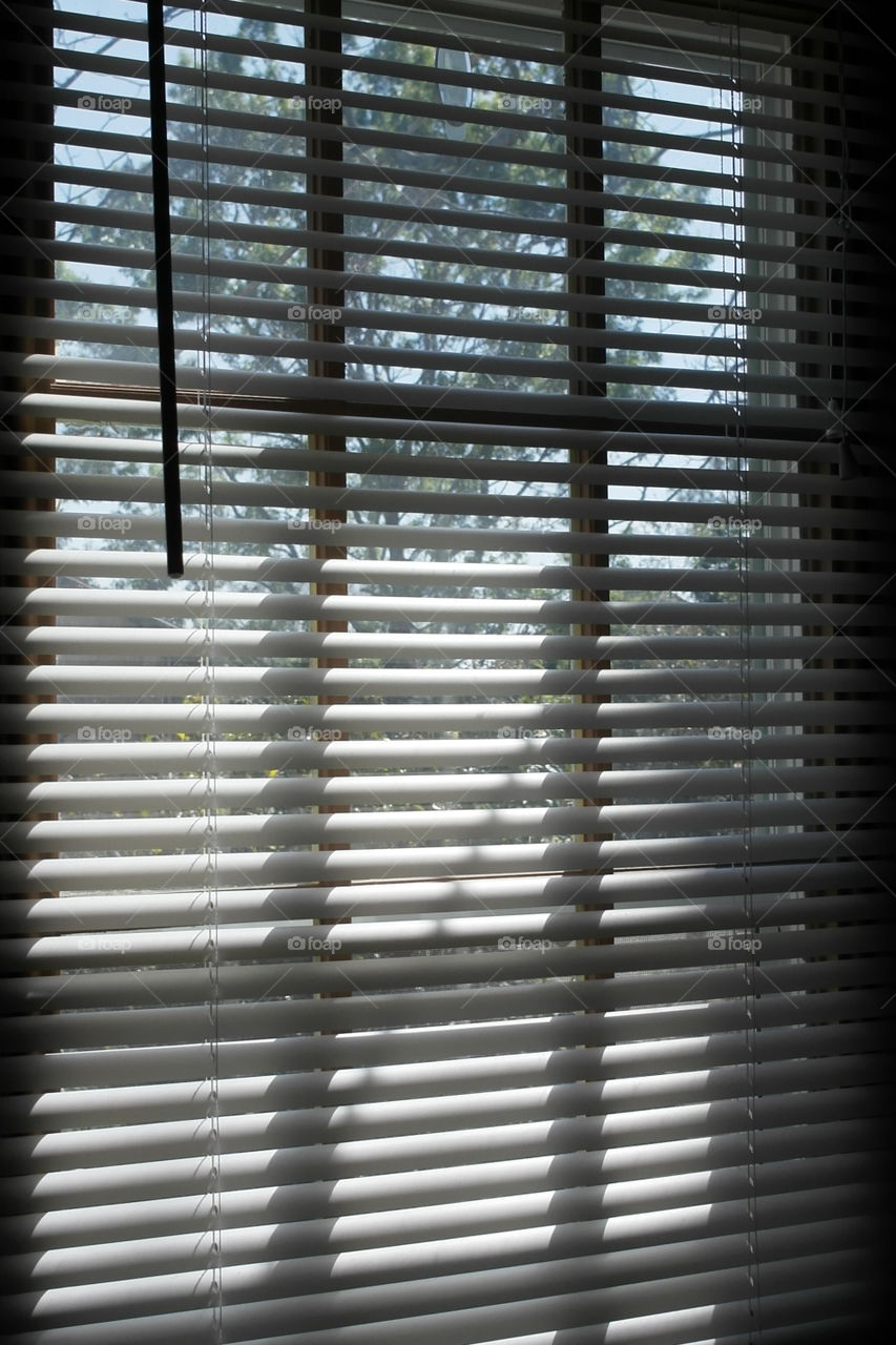 Light through the window blinds 