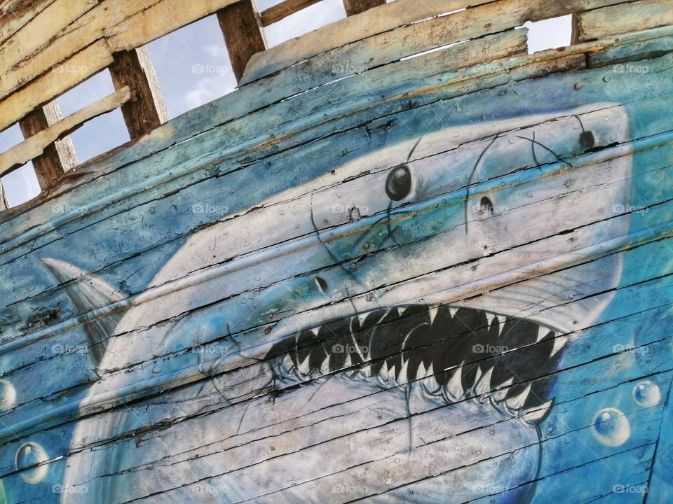 Shark painted on a shipwreck