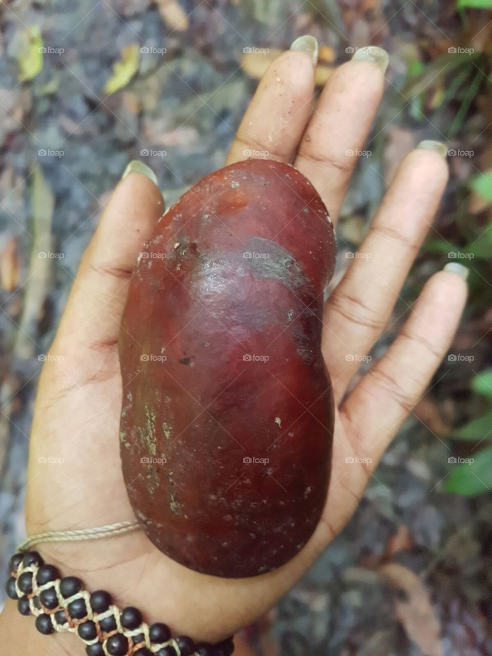 Random seed found while hiking