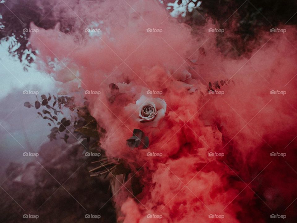 Fantastic👣👣爱上你🍂