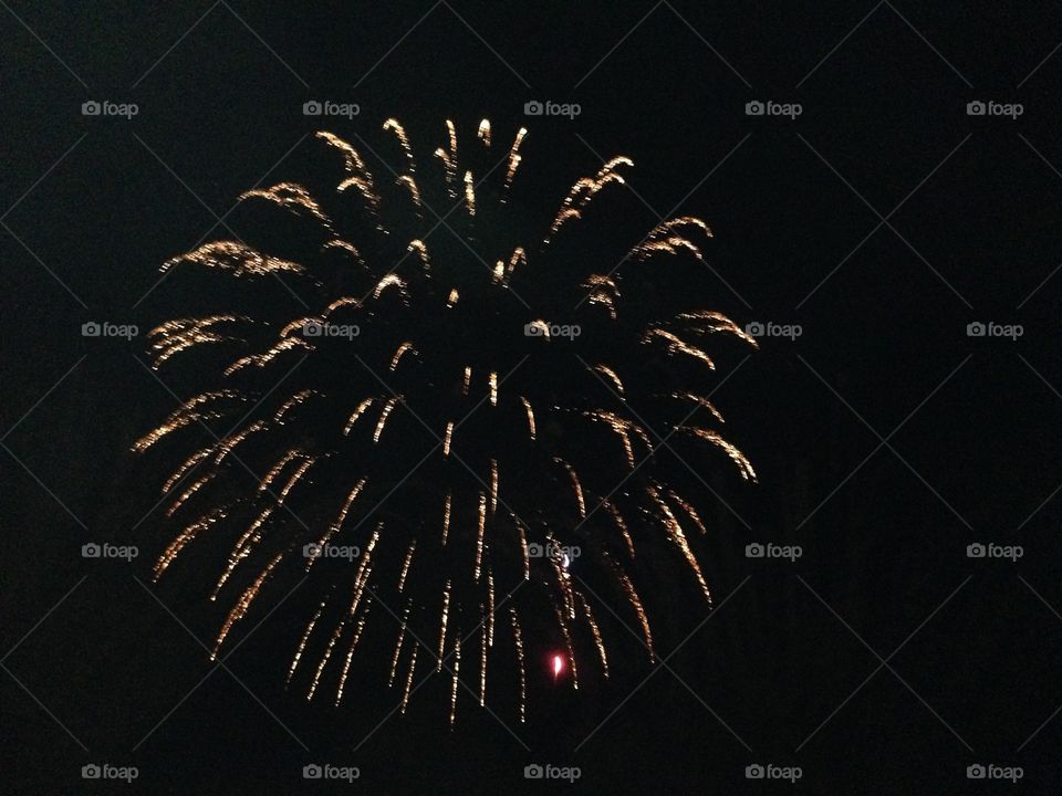Fireworks 