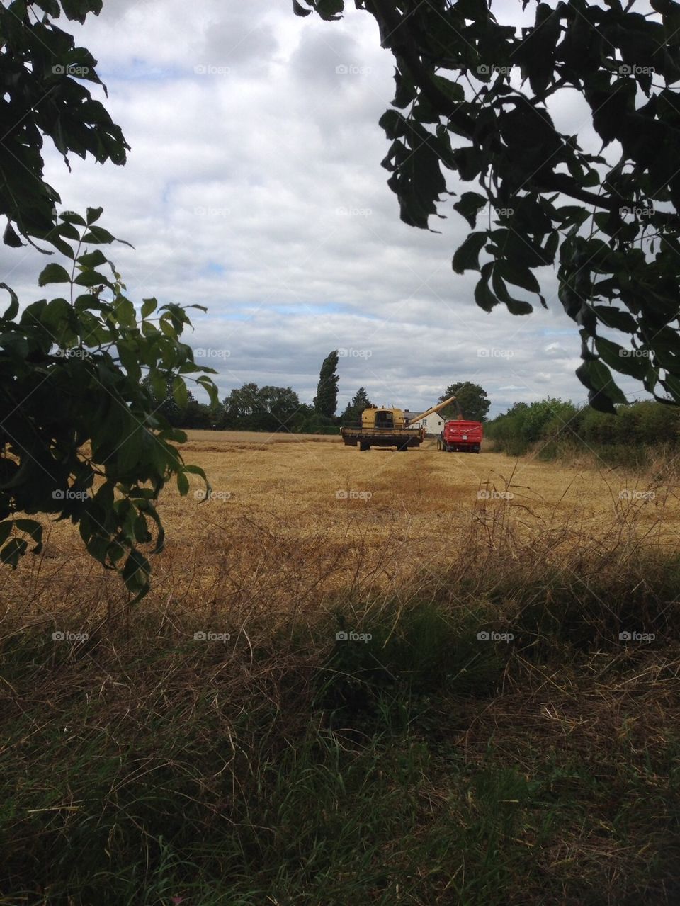 Harvesting crops