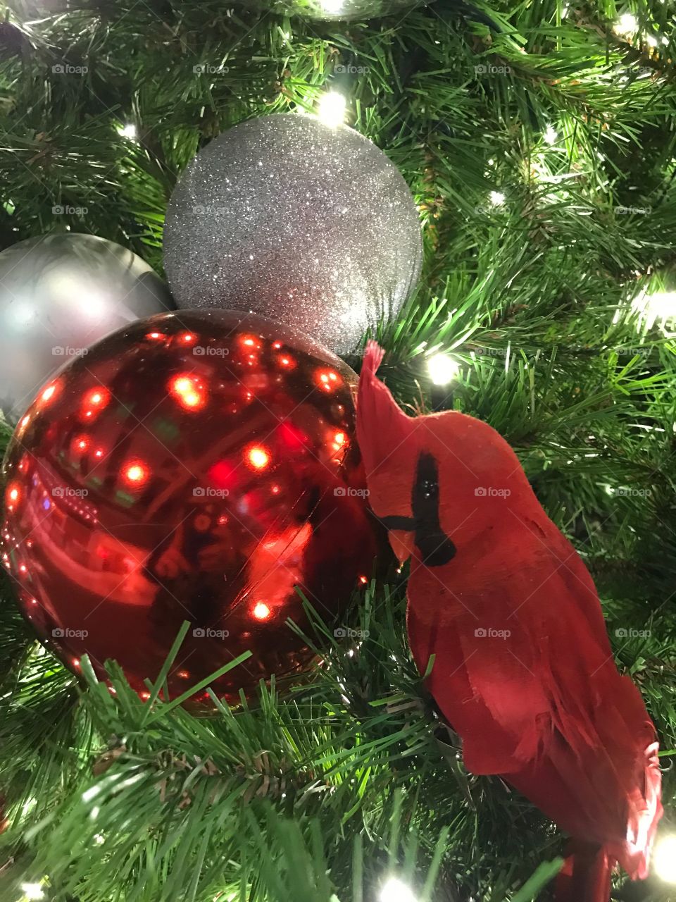 Christmas Tree Cardinal 