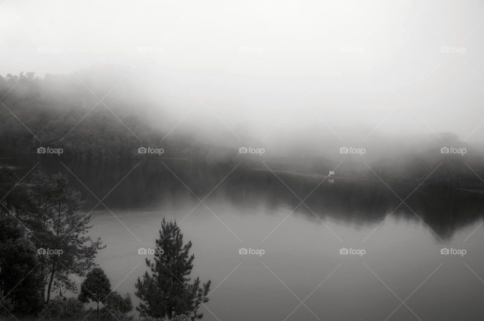 misty lake in the afternoon