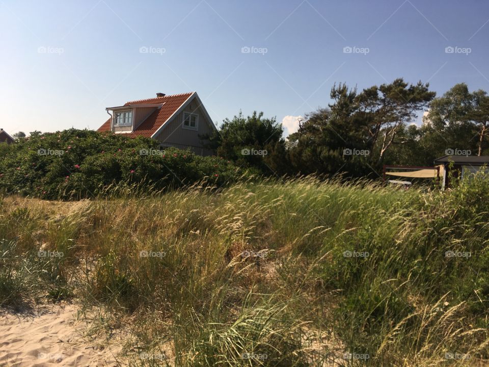 sunny day at the beach