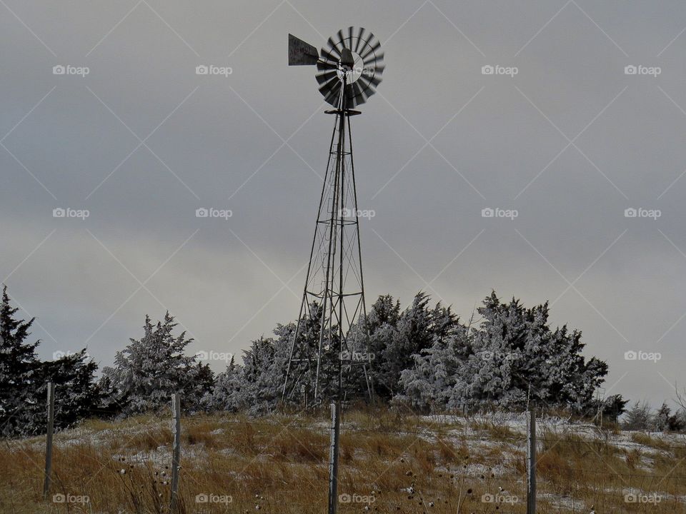 Wind mill, tree, evergreen, fence, post, barbed wire