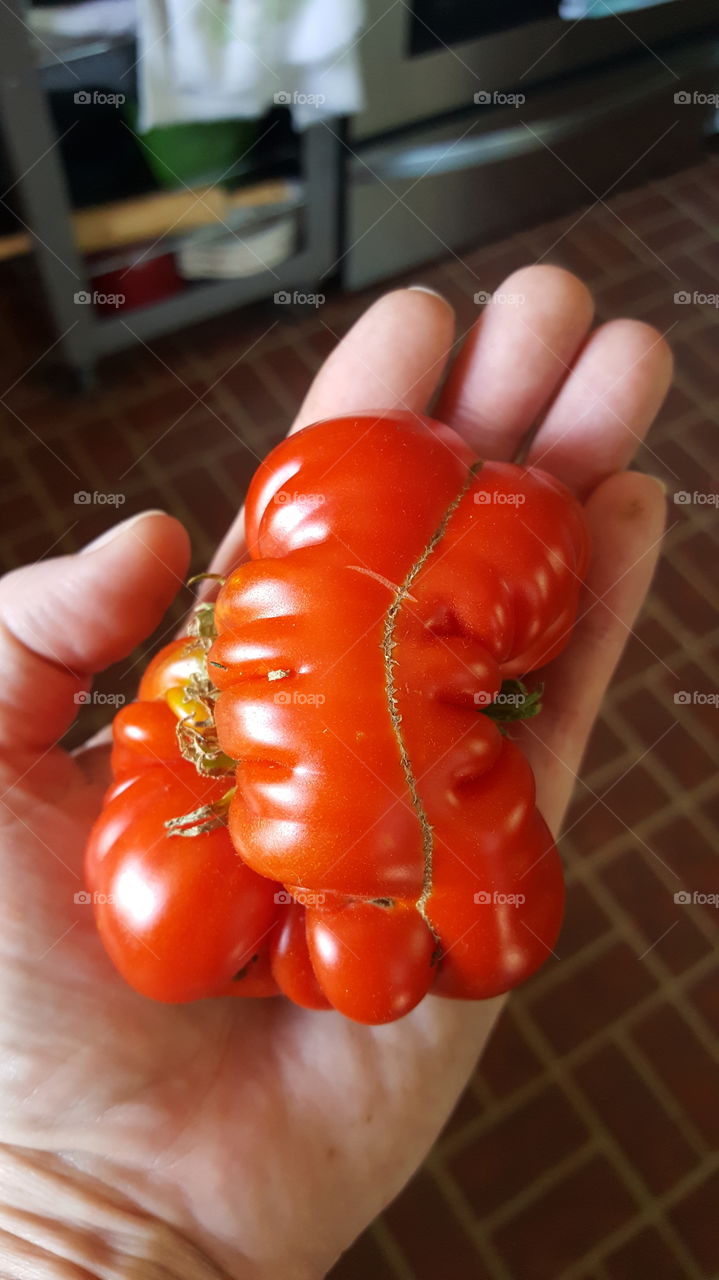 crazy looking tomato