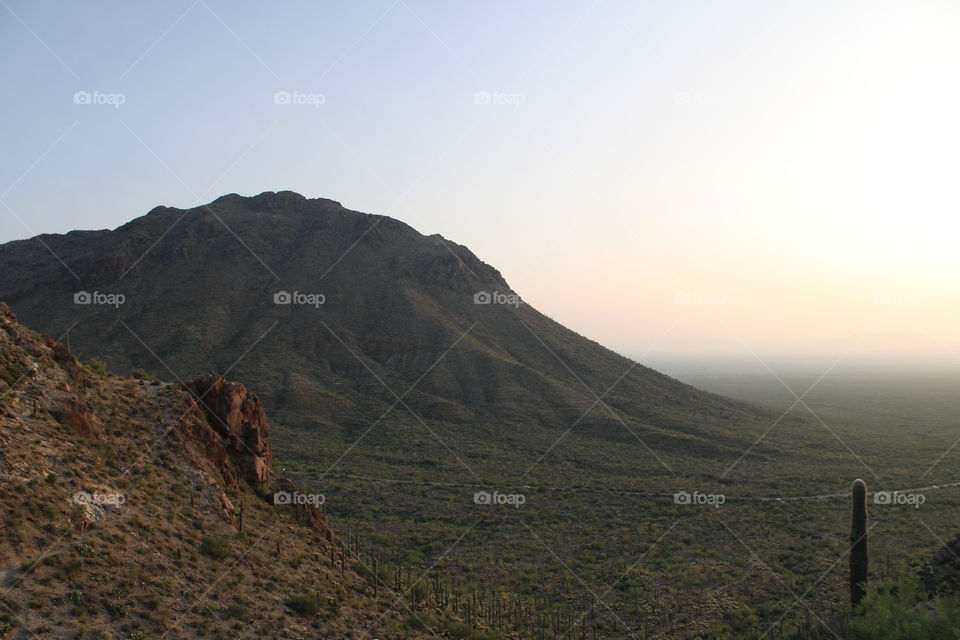 Sonoran desert,  Arizona