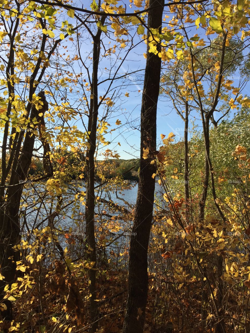A melancholy time! So charming to the eye!
Your beauty in its parting pleases me -
I love the lavish withering of nature,
The gold and scarlet raiment of the woods... A.Pushkin about autumn 