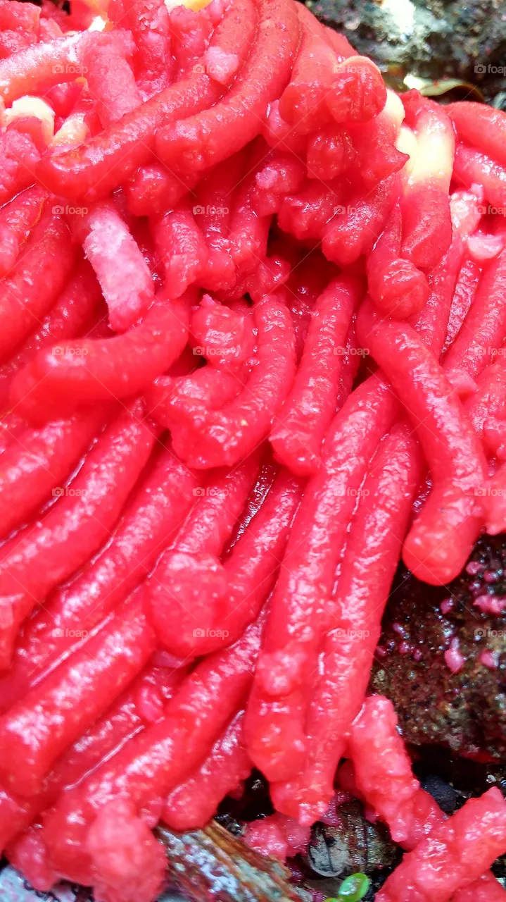 red