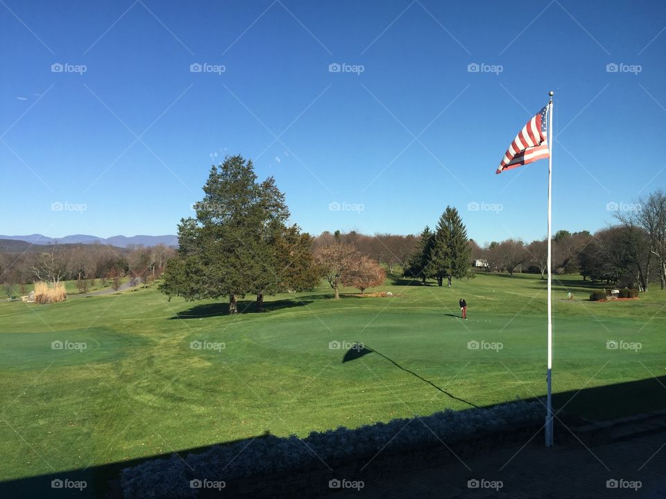 Golf hreen flag sky tree