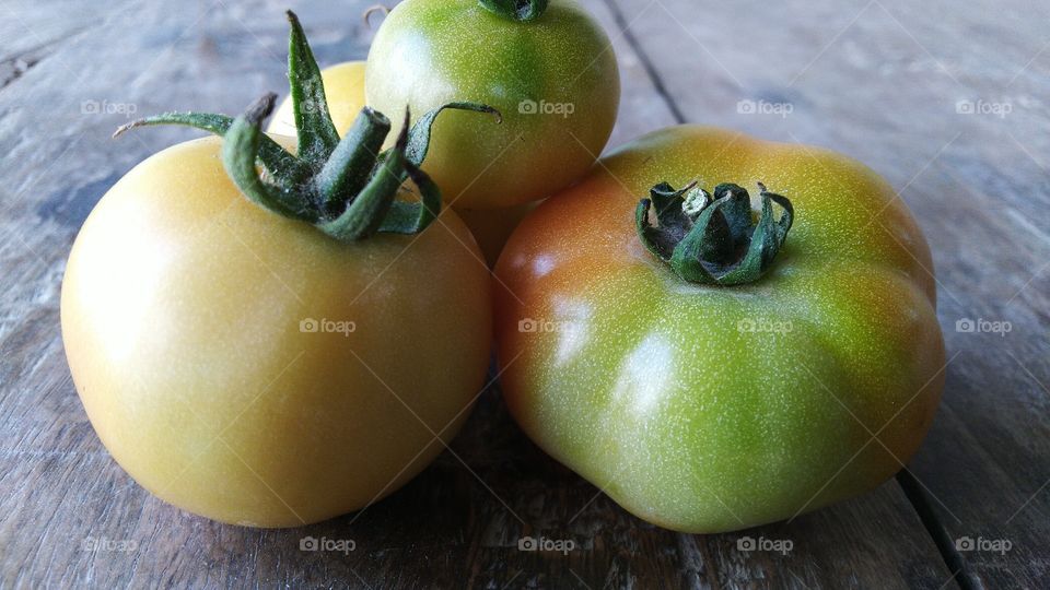 Red and green tomatoes vegetables for food in agriculture farm in india