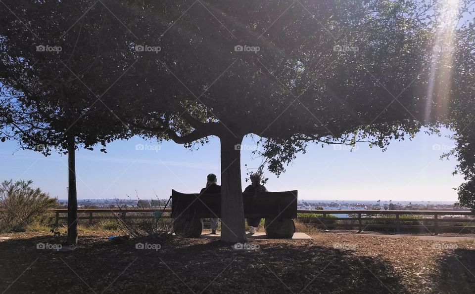 silhouette of an old couple under a tree at a park