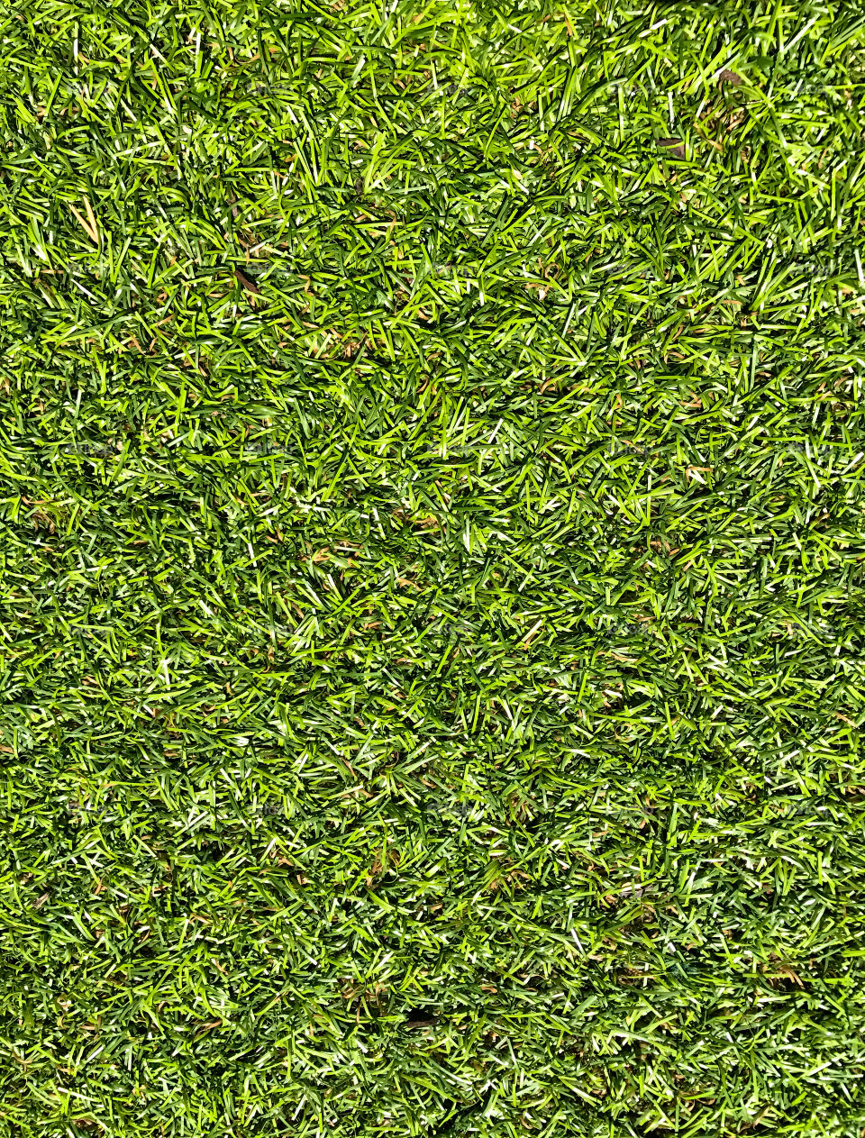 Artificial grass 