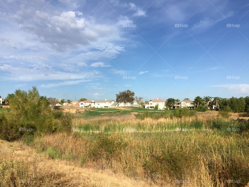 Landscape with houses and grass 