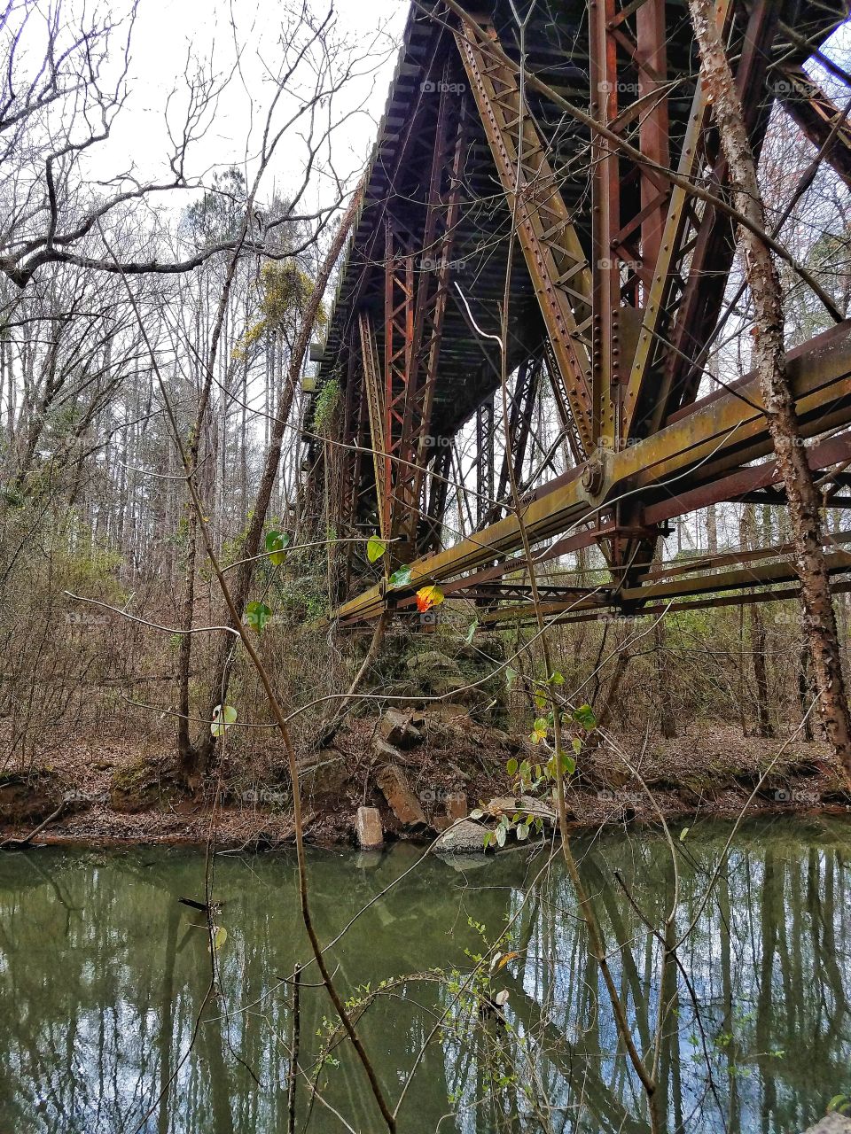 Bridge in forest