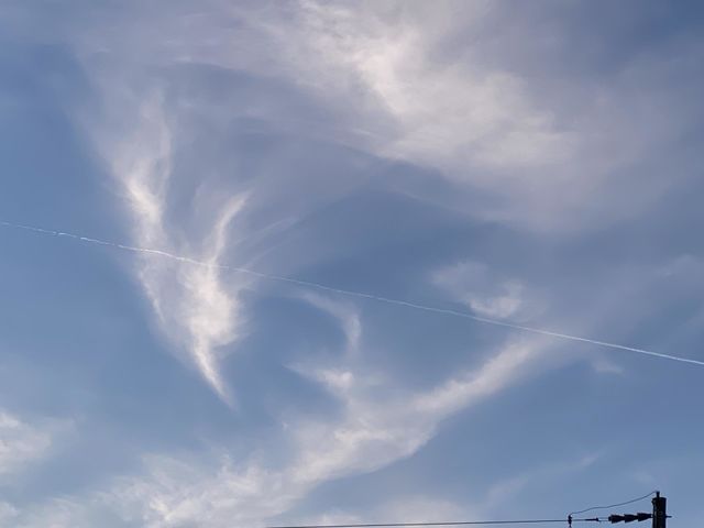 This country sky 