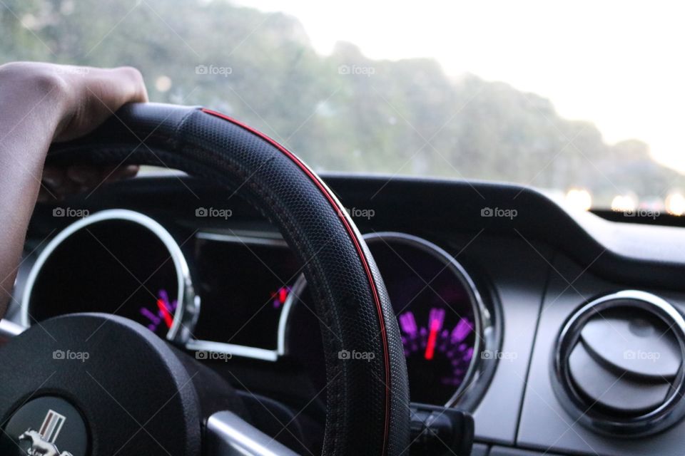Hands on the Wheel . Interior Drive