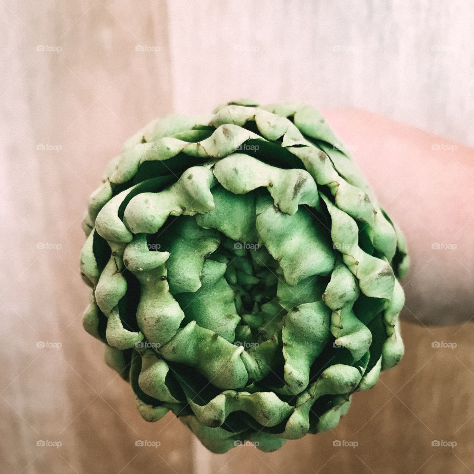 Hand holding artichokes 