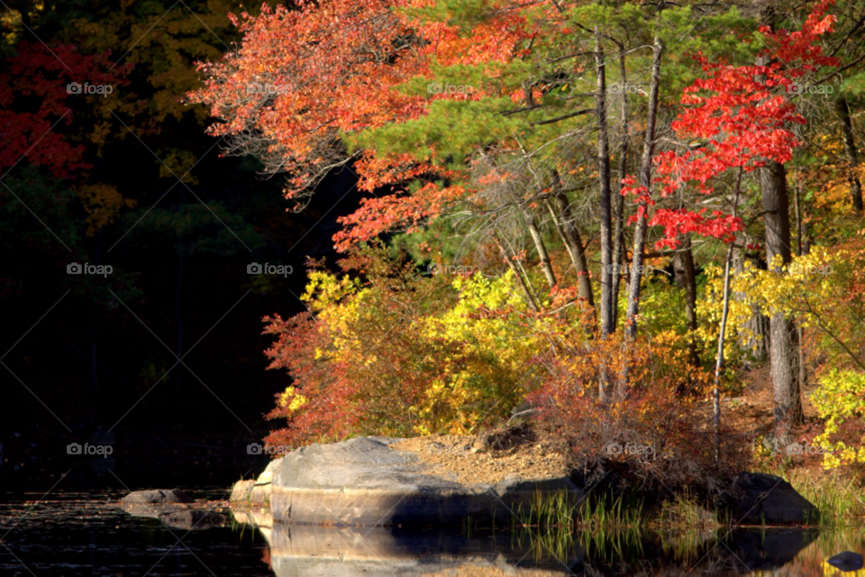 colors lake fall autumn by schalock