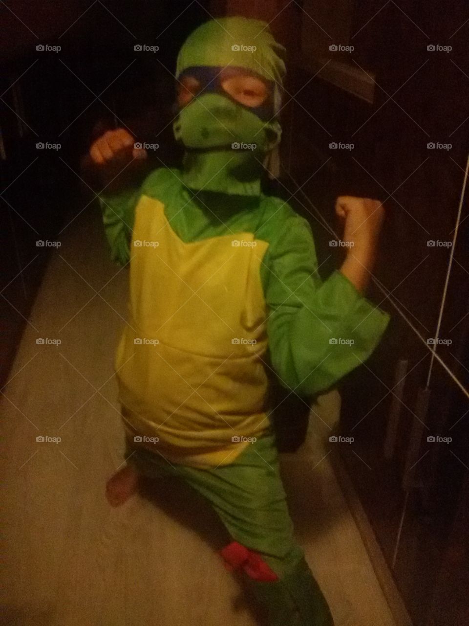 Child masked in a turtle suit