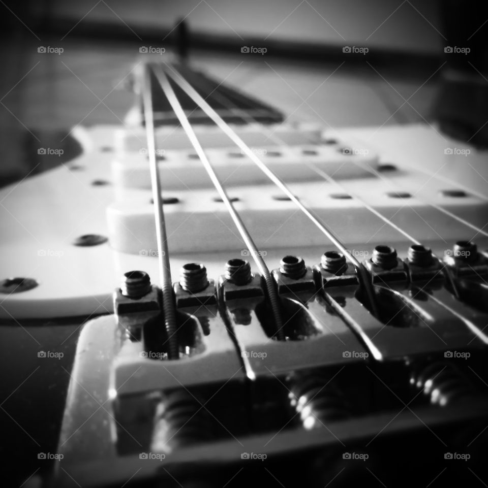 Guitar 
