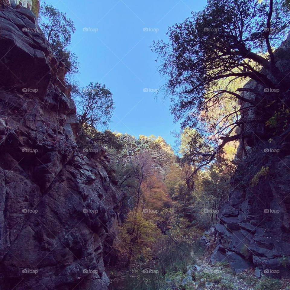 Sunlight into the canyon kisses the fall foliage like a diamond in the sky