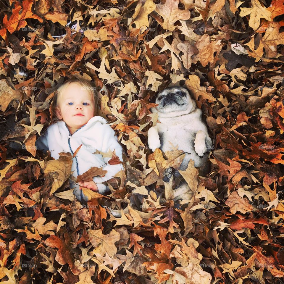 Baby and dog lying on autumn leaf