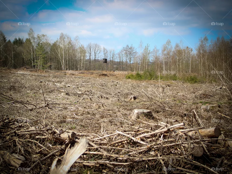 Klimawandel