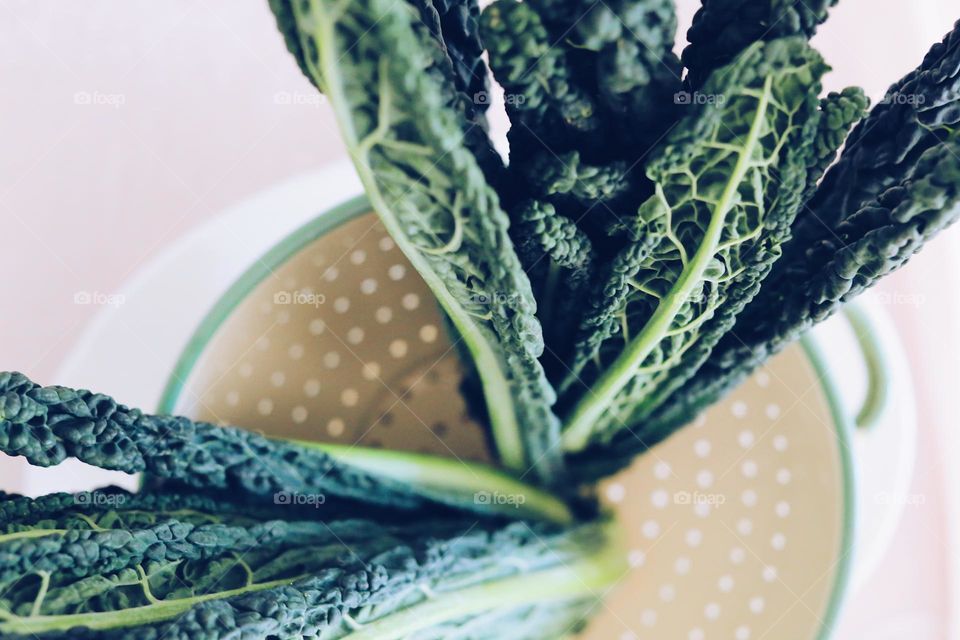 Green leaves of kale closeup 