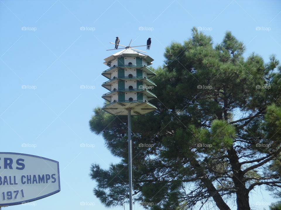 bird 🐦 condominium. This is a picture of a bird 🐦 house that I saw while visiting Jacksboro Texas