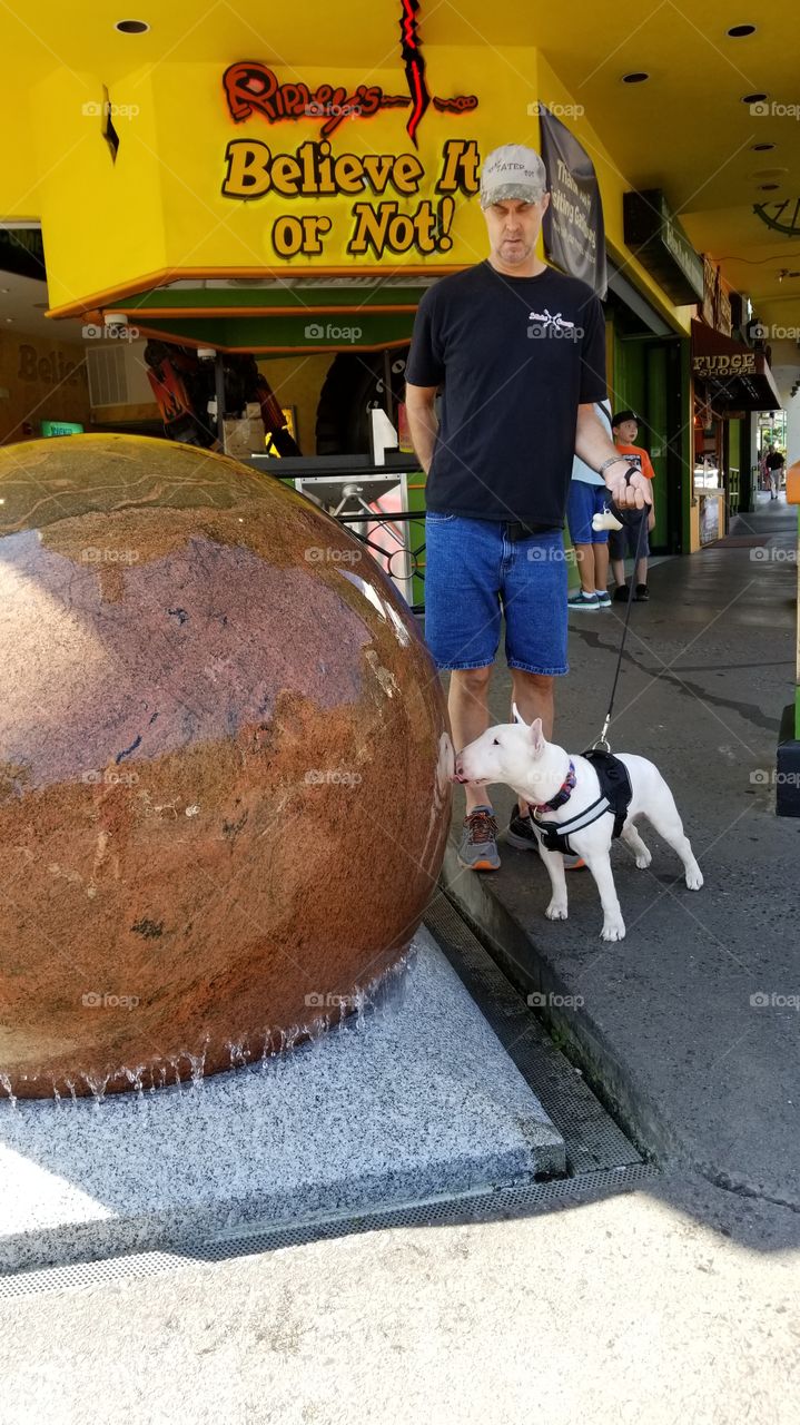 My lifestyle,  Tater Tot drinking water around the globe