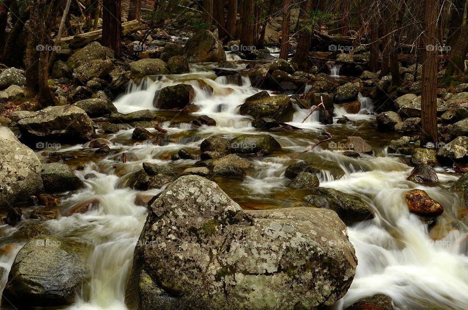 River rocks