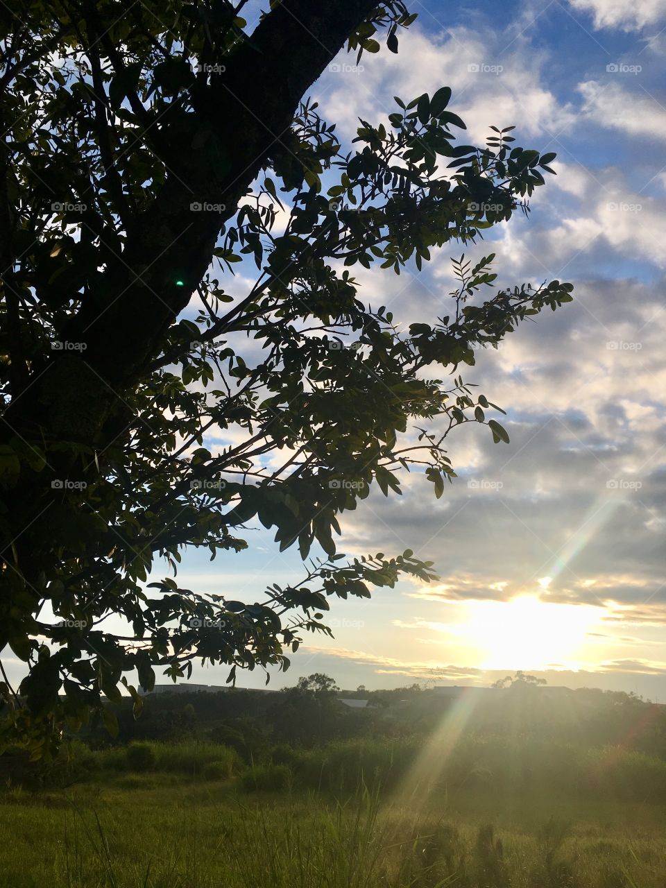 E o #sol se manifestou! Olhe aí o astro-rei entre #nuvens no infinito, embelezando ainda mais a #natureza.
Que tenhamos uma ótima #SegundaFeira, entre belos cliques, paisagens e imagens!