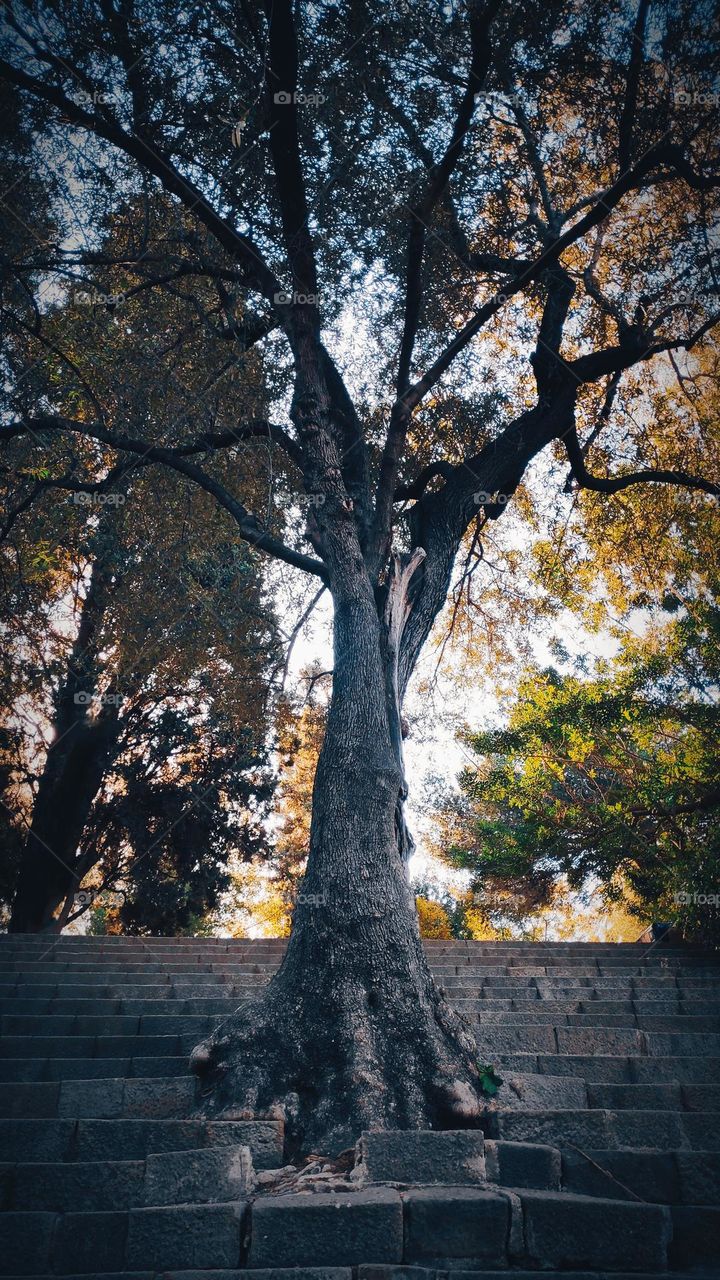 Nature breaks through 2.