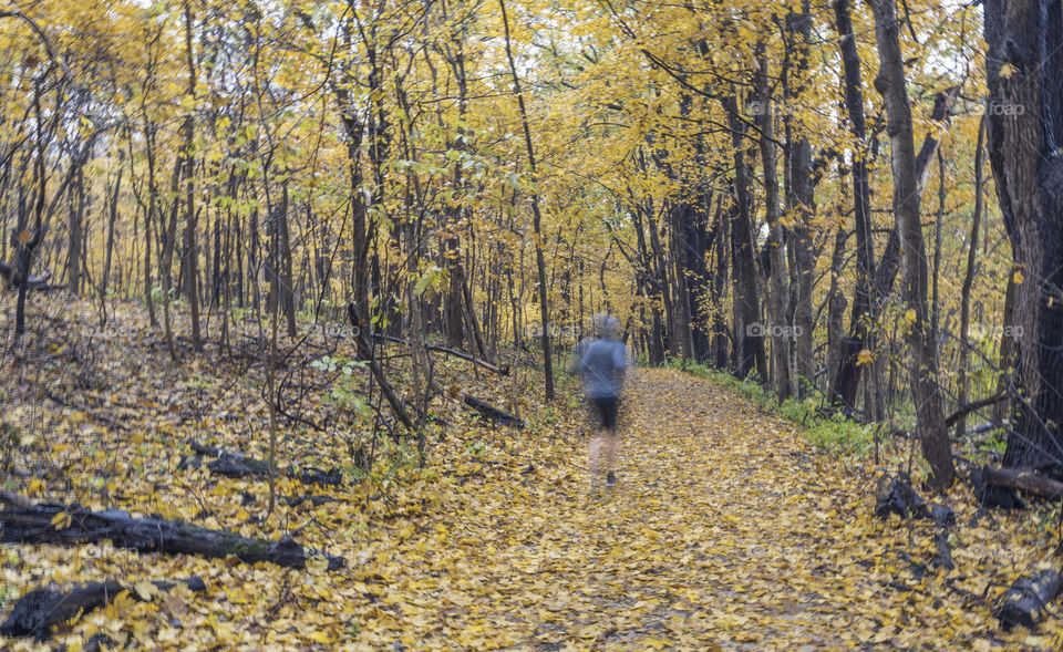 Jogging through the woods on a rainy fall day