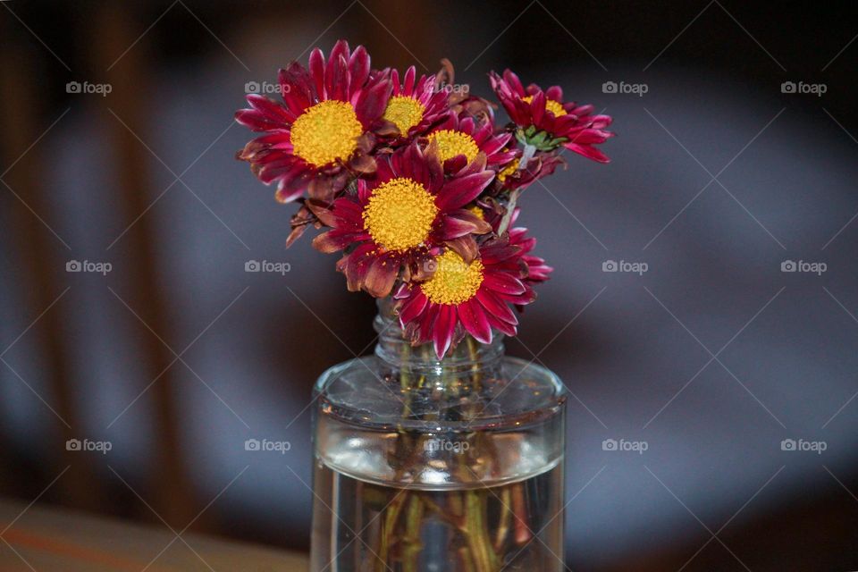 Flower in vase