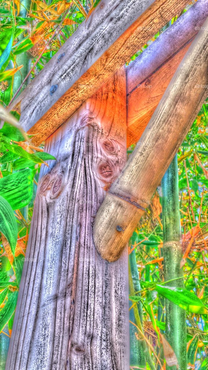 "Bamboo Garden Arbor"