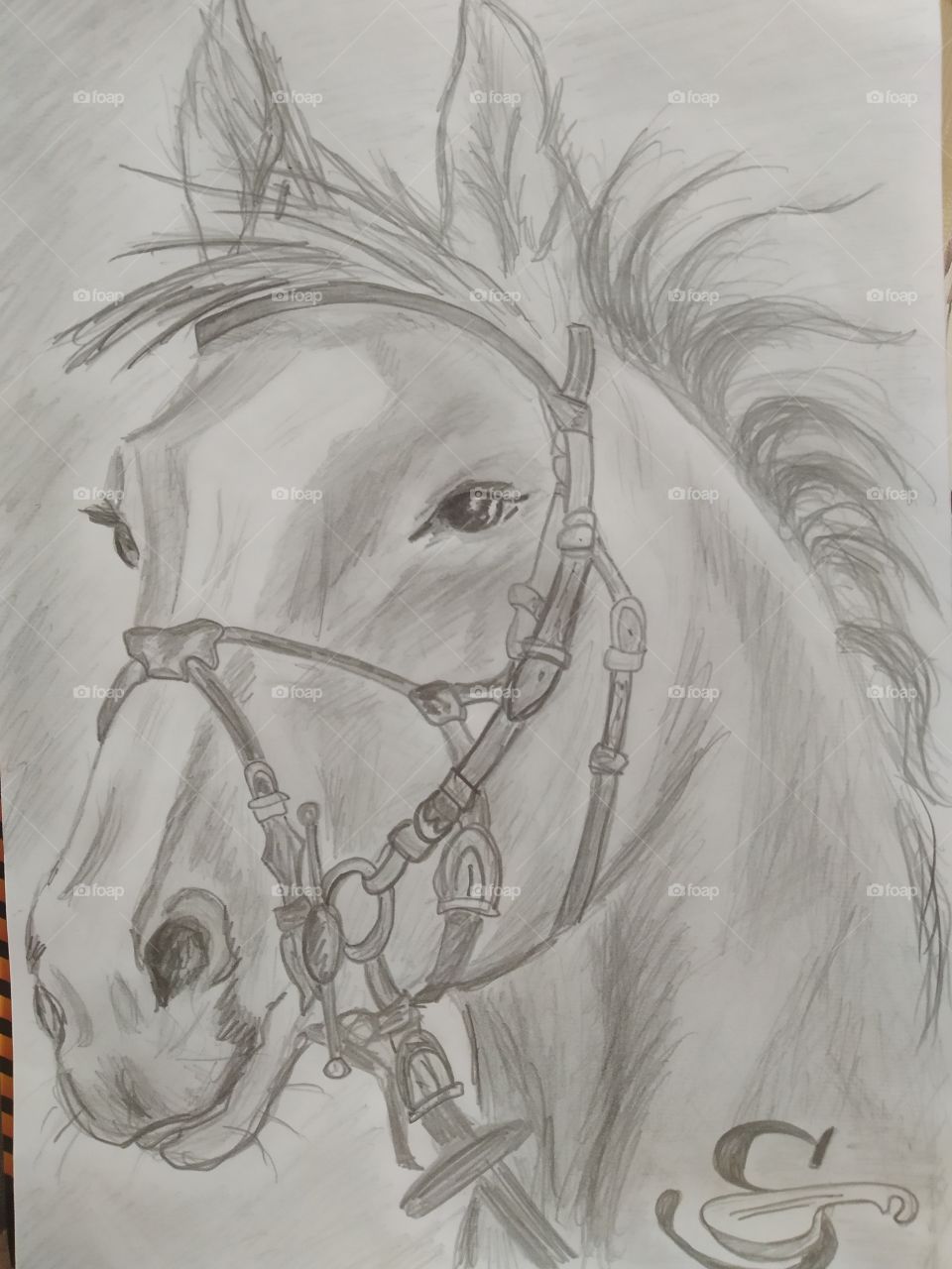 My Art. Horse